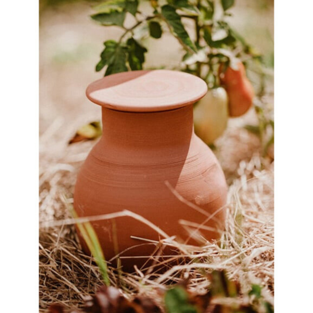 Des oyas pour alimenter votre jardin/potager en eau ? - Blog ECO L'EAU