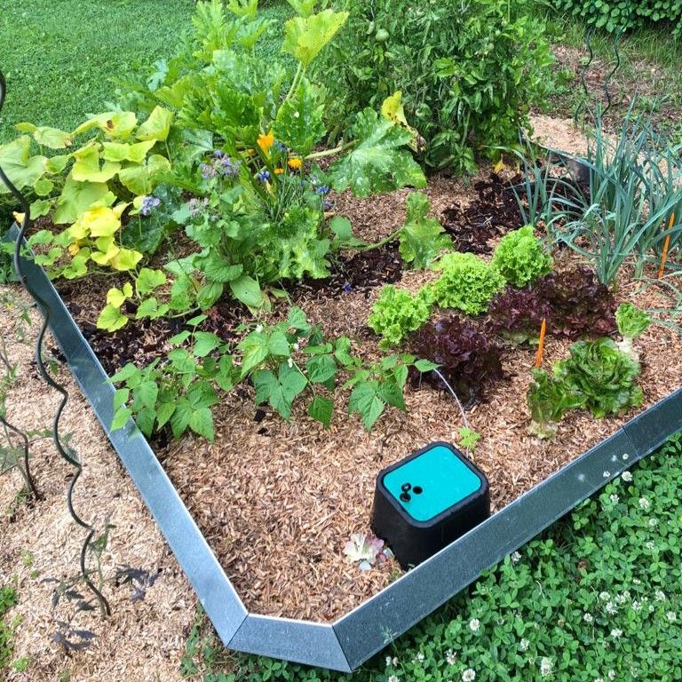 Potager autonome