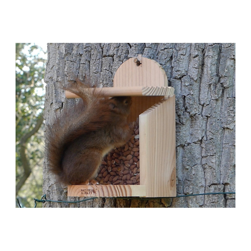 Mangeoire pour écureuil en résine avec sculpture animalière